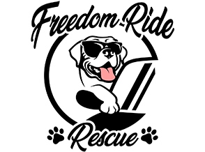 Freedom-Ride-Rescue