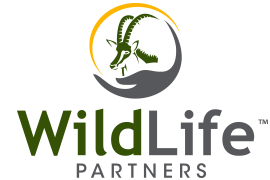 Wildlife Partners